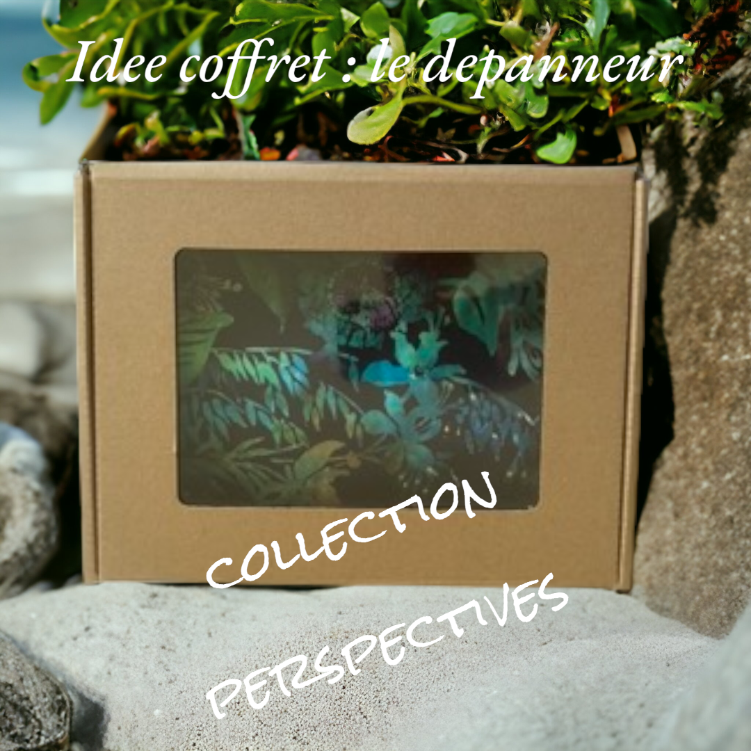 idee coffret : le depanneur pour les maux de ventre, les maux de tete, collection perspectives